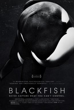 ブラックフィッシュ
